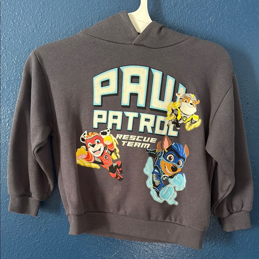 Paw Patrol Kids Gray Hoodie